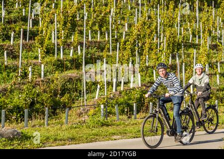 Weingut Bonvin in Sion, Schweiz. Mit den E-Bikes durch die Weinberge. Les Celliers de Sion bietet Picknicks und Verkostungen Stockfoto