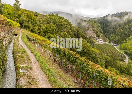 Suonen-Wanderung im Schweizer Wallis, Savièse, Schweiz. Suonen sind die Antwort des Wallis auf das extrem trockene Mikroklima im Rhonetal. Dies ermöglicht es Landwirten und Winzern, die Bewässerung ihrer Felder sicherzustellen Stockfoto