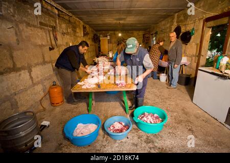 Troceado y preparacion, Esperanza del Cerdo. Algaida. Comarca de Es Pla. Mallorca Balearen. Spanien. Stockfoto