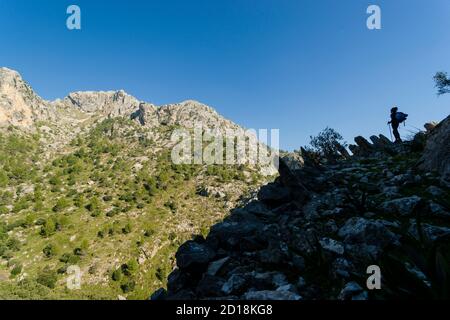 Puig De Sa Cova des Carboner, 842 U-Bahnen, sierra de Tramuntana, mallorca, islas baleares, españa, europa Stockfoto