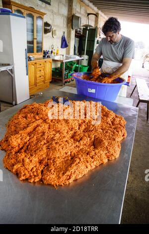 Especiado y Mezcla De La Sobrasada, Matanza Tradicional del Cerdo, Llucmajor, Mallorca, Islas Baleares, Spanien Stockfoto