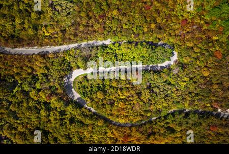 Kurvige kurvenreiche Straße im Herbst von Wald umgeben. Luftaufnahme der kurvigen Straße. Stockfoto