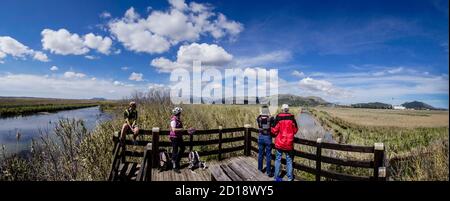 Torre de observacion, canal des Sol, S'Albufera de Mallorca, Mallorca, Balearen, Spanien. Stockfoto