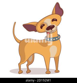 Stehend und lächelnd chihuahua in blauem Kragen. Vektor im Cartoon-Stil Stock Vektor