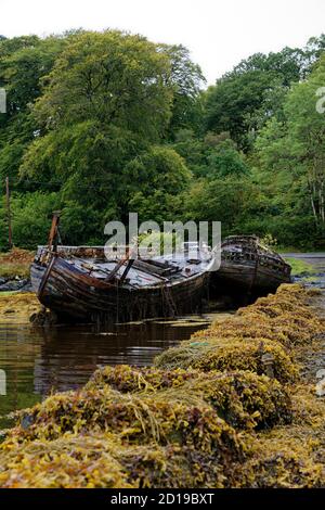 Alte verlassene und verfallende Holzfischereiboote in Salen On Die Insel Mull in den inneren Hebriden im Westen Schottland Stockfoto