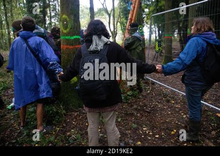 Cubbbington Woods, Warwickshire, Großbritannien. Oktober 2020. In den frühen Morgenstunden des 5. Okt. 2020 ergreifen friedliche HS2-Demonstranten Maßnahmen zum Schutz der Eichen und alten Wälder, die für die Zerstörung in Cubbbington Woods, Warwickshire, Großbritannien, markiert sind. Demonstranten erhalten Zugang zu dem Land, das HS2 erworben hat und Arme um Bäume verbindet, die mit Farbe gekennzeichnet sind Kredit: Denise Laura Baker/Alamy Live News Stockfoto