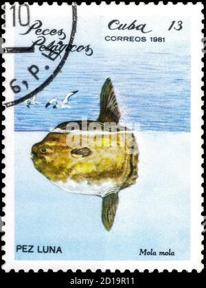 Sankt Petersburg, Russland - 18. September 2020: Briefmarke gedruckt in Kuba das Bild des Ozeans Sonnenfisch, Mola mola, um 1981 Stockfoto
