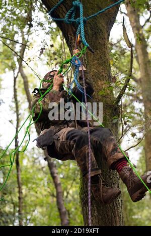 Cubbbington Woods, Warwickshire, Großbritannien. Oktober 2020. In den frühen Morgenstunden des 5. Okt. 2020 ergreifen friedliche HS2-Demonstranten Maßnahmen zum Schutz der Eichen und alten Wälder, die für die Zerstörung in Cubbbington Woods, Warwickshire, Großbritannien, markiert sind. Zwei Kletterer erklimmen Bäume und versuchen, ein Nest mit einer Holzkonstruktion mit einem Rahmen und einem Netz zu bauen. Einmal in den Bäumen Abriss müsste aufhören, bis die Demonstranten wurden entfernt Kredit: Denise Laura Baker/Alamy Live News Stockfoto