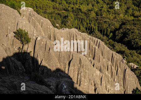 Puig de ses Monges, Lapiaz, Lluc, Mallorca, Balearen, Spanien Stockfoto