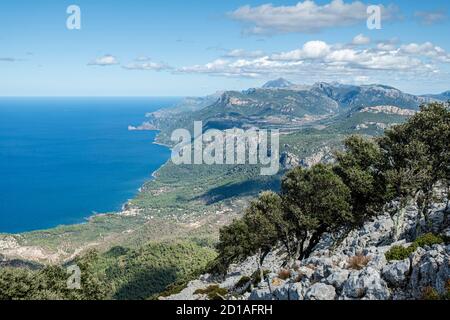 Bewaldete Küste der sierra de tramuntana, Banyalbufar, Mallorca, Spanien Stockfoto