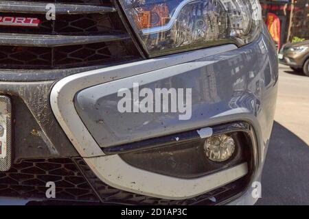Insekten auf dem Auto auf dem Stoßfänger Lackierung. Stockfoto