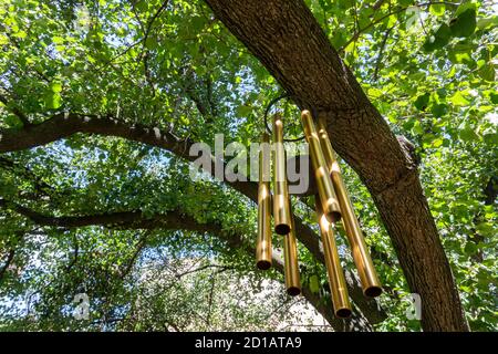 Goldene Windspiele hängen am Baum in der Öffentlichkeit im Freien Garten Stockfoto