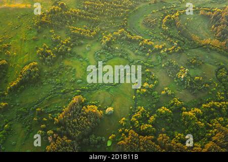 Luftaufnahme Green Forest Woods Park und Creek Stream Landschaft im Sommerabend. Top Blick Auf Die Schöne Europäische Natur Von High Attitude. Drohnenansicht Stockfoto