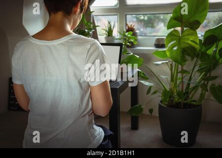 Nahaufnahme Rückansicht Frau in legerer Hauskleidung, die auf einem Laptop sitzt an einem Couchtisch mit vielen grünen Topfpflanzen in der Nähe des Fensters arbeitet. Remote-Arbeitsauftrag Stockfoto