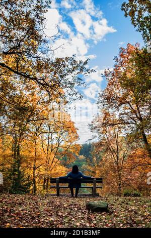 Reisende Frau auf einer Bank im Herbst Wald suchen In den strahlend blauen Himmel Stockfoto