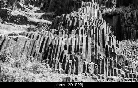 Basaltorgelpfeifen von Panska skala bei Kamenicky Senov, Tschechische Republik. Schwarzweiß-Bild. Stockfoto