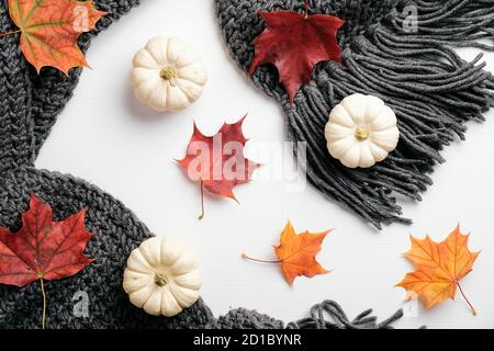Herbstkomposition. Strickschal, Kürbisse, Ahornblätter auf weißem Hintergrund. Flach liegend, Draufsicht. Stockfoto