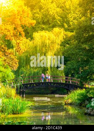 Menschen stehen auf der kleinen Holzbrücke über Park Teich in üppigem Grün des botanischen Gartens. Stockfoto