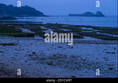 Cancale, Frankreich - 26. August 2019: Nachtansicht der Austern- und Miesmuschelfarmen in Cancale auf der Baie du Mont Saint Michel, Bretagne in Westfrankreich Stockfoto