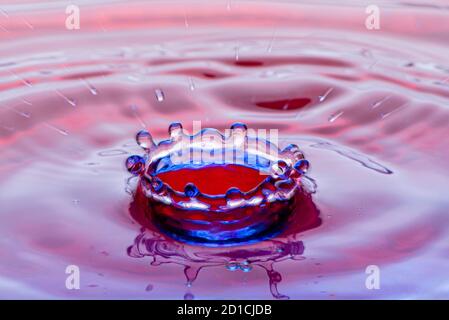 Drop-Fotografie in einem Wasserbecken mit Blitzsystem und bunten farbigen Folien. Stockfoto