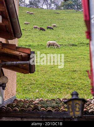 Impressionen im Tessin Muggiotal, Breggia, Schweiz Stockfoto