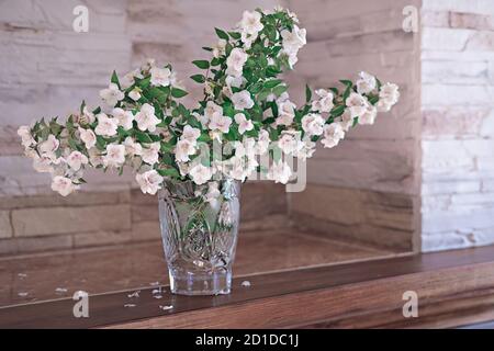 Blumen eines englischen Dogwood oder süßes Mock-Orange in einer Vase. Philadelphus Coronaries blüht in einer trendigen Kristallvase auf einem Kaminregal. Weißer Sommerstrauß. Stockfoto