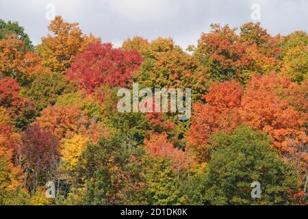 Herbstszenien Stockfoto