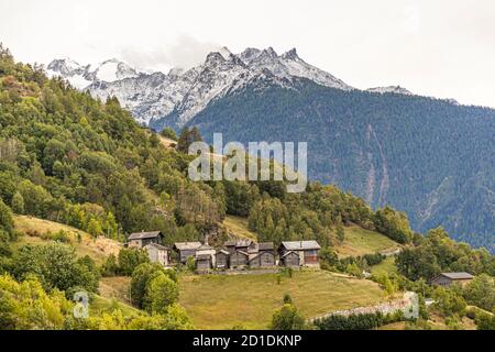 Wanderung über den Weinweg von Visperterminen nach Visp, Wallis, Schweiz Stockfoto