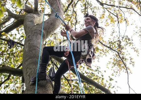 Aylesbury Vale, Großbritannien. Oktober 2020. Ein Baumschützer klettert auf ein Baumhaus etwa 60 Meter über dem Boden in einem Wildschutzlager in alten Wäldern am JonesÕ Hill Wood. Das Camp JonesÕ Hill Wood, eines von mehreren Protestcamps, das von Anti-HS2-Aktivisten entlang der Strecke der 106 Mrd. £schweren HS2-Hochgeschwindigkeitsstrecke errichtet wurde, um dem umstrittenen Infrastrukturprojekt zu widerstehen, wird derzeit von den Gerichtsvollziehern des National Evction Teams, die im Auftrag der HS2 Ltd. Arbeiten, vertrieben. Quelle: Mark Kerrison/Alamy Live News Stockfoto