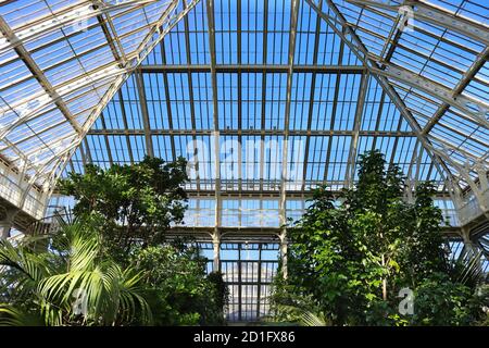 Gemäßigte Haus Interieur in Kew Gardens , London , Großbritannien Stockfoto