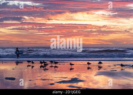 Surfer von „Dawn Patrol“ begrüßen den neuen Tag unter einem farbenfrohen Sonnenaufgangshimmel am Jacksonville Beach, Florida. (USA) Stockfoto