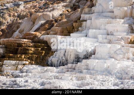 Mammoth Hot Springs, Yellowstone-Nationalpark, Wyoming, USA Stockfoto