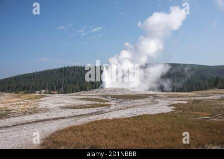 Dampfende Geysire, Norris Geyser Basin, Yellowstone National Park, Wyoming, USA Stockfoto