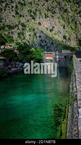 Smaragdgrüne Wasser der Bucht von Kotor oder Boka Kotorska, Berge und das alte steinerne Stadtmauer von Kotor ehemalige venezianische Festung in Montenegro Stockfoto