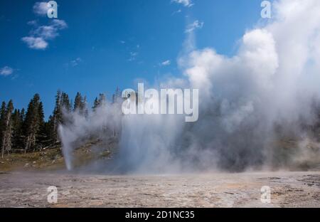 Grand Geyser Erupting, Upper Geyser Basin, Yellowstone National Park, Wyoming, USA Stockfoto