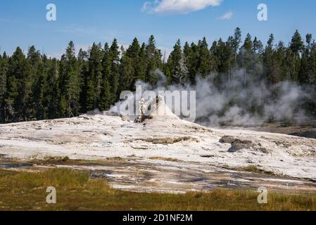 Dampfende Geysire, Norris Geyser Basin, Yellowstone National Park, Wyoming, USA Stockfoto