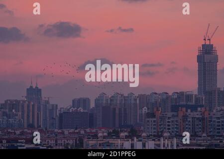 Charmanter Blick auf die Stadt in der Abenddämmerung in Shanghai Stockfoto