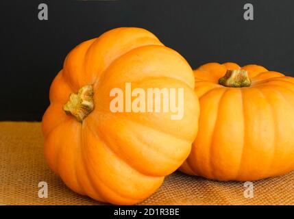 Zwei große strukturierte orange Kürbissinon auf einem dunklen Hintergrund. Herbsternte. Rustikaler Stil Stockfoto