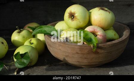 Grüne Bio-gesunde Äpfel in Schüssel auf Holzbrett. Gesunde Ernährung Stockfoto