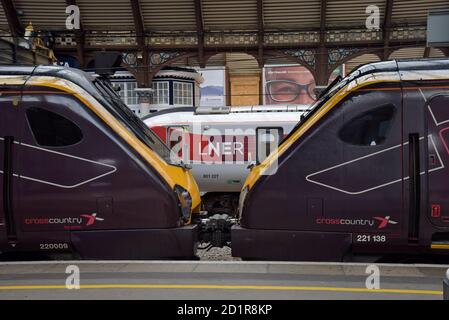 Ein Paar von Cross Country Voyager Züge zusammen Rahmen gekoppelt Das LNER-Logo auf einem neuen Azuma High-Speed-Elektro Zug am Bahnhof York Stockfoto