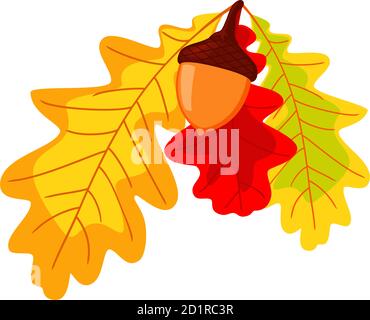 Bunte Herbsteiche Blätter und Eichel Stock Vektor