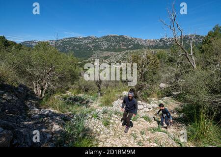 camino del Pas de S'Escaleta, valle de Orient, sierra de Tramuntana, Mallorca, Balearen, Spanien Stockfoto