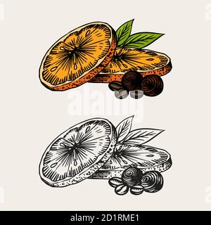 Orangefarbene Scheiben. Sommer Obst . Handgezeichnete Vintage-Skizze mit Gravur. Holzschnitt. Stock Vektor