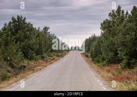 Sierra Solorio, Soria, comunidad autónoma de Castilla y León, Spanien, Europa Stockfoto