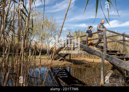 Vögel beobachten, Parc Natural S’Albufera de Mallorca, Mallorca, Balearen, Spanien Stockfoto