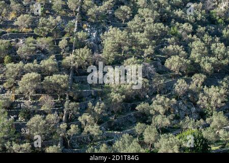 Rotes de Caimari, Gemeinde von Selva, Brunnen von kulturellem Interesse, Mallorca, Balearen, Spanien Stockfoto