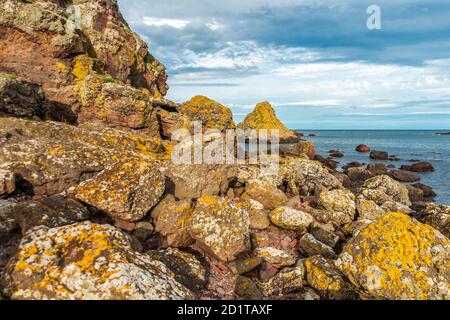 St Abbs, Großbritannien - 07. August 2020: Küstenlinie in der Nähe von St Abbs Head, Berwickshire, Scottish Borders, Schottland Stockfoto