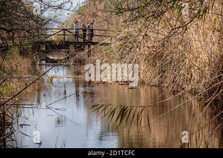 Parque Natural de s’Albufera de Mallorca, términos municipales de Muro y Sa Pobla, Mallorca, Balearen, Spanien Stockfoto