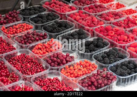 Rote und schwarze frische gesunde Beeren, Preiselbeeren, Preiselbeeren, Himbeeren, Brombeeren in kleinen Körben in einem Straßenmarkt bereit für sellin Stockfoto