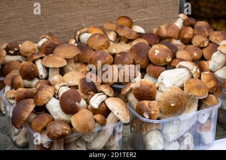 Steinpilze zum Verkauf in kleinen Körben in einer Straße Lebensmittelmarkt, Herbsternte Stockfoto